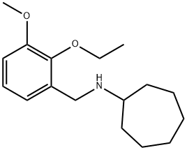 N-(2-ETHOXY-3-METHOXYBENZYL)CYCLOHEPTANAMINE 结构式