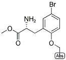 METHYL (2R)-2-AMINO-3-(5-BROMO-2-ETHOXYPHENYL)PROPANOATE 结构式