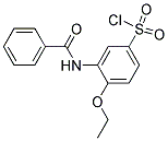 3-BENZOYLAMINO-4-ETHOXY-BENZENESULFONYL CHLORIDE 结构式