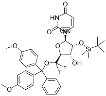 5'-O-(4,4'-DIMETHOXYTRITYL)-2'-TBDMS URIDINE, [5'-3H]- 结构式