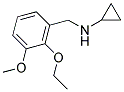 N-(2-ETHOXY-3-METHOXYBENZYL)CYCLOPROPANAMINE 结构式