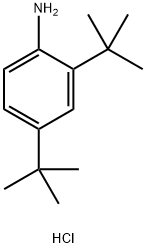 (2,4-二-叔丁基苯基)胺盐酸盐 结构式