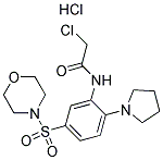 2-氯-N-[5-(吗啉-4-磺酰基)-2-(吡咯烷-1-基)苯基]乙酰胺盐酸盐 结构式