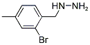 2-BROMO-4-METHYL-BENZYL-HYDRAZINE 结构式