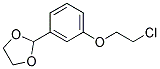 2-[3-(2-CHLOROETHOXY)PHENYL]-[1,3]-DIOXOLANE 结构式
