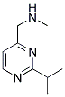 (2-ISOPROPYL-PYRIMIDIN-4-YLMETHYL)-METHYL-AMINE 结构式