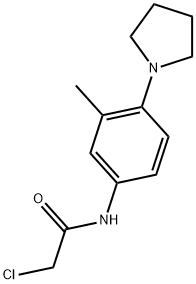 2-CHLORO-N-(3-METHYL-4-PYRROLIDIN-1-YLPHENYL)ACETAMIDE 结构式