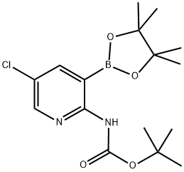 2-TERT-BUTYLOXYCARBONYLAMINO-5-CHLOROPYRIDINE-3-BORONIC ACID PINACOL ESTER 结构式