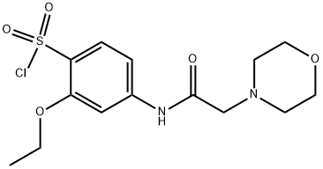 2-Ethoxy-4-(2-morpholin-4-yl-acetylamino)-benzenesulfonyl chloride 结构式