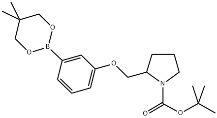 TERT-BUTYL 2-[[3-(5,5-DIMETHYL-1,3,2-DIOXABORINAN-2-YL)PHENOXY]METHYL]PYRROLIDINE-1-CARBOXYLATE 结构式