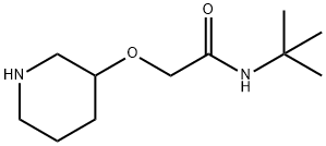 N-叔丁基-2-(3-氧基哌啶)乙酰胺 结构式