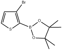 3-Bromothiophene-2-boronic acid pinacol ester 结构式