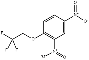 1,3-DINITRO-4-(2,2,2-TRIFLUOROETHOXY)BENZENE 结构式