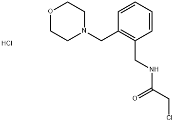 2-CHLORO-N-[2-(MORPHOLIN-4-YLMETHYL)BENZYL]ACETAMIDE HYDROCHLORIDE 结构式