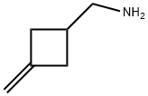 (3-METHYLENECYCLOBUTYL)METHYLAMINE 结构式