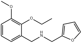 N-(2-ETHOXY-3-METHOXYBENZYL)-N-(2-FURYLMETHYL)AMINE 结构式