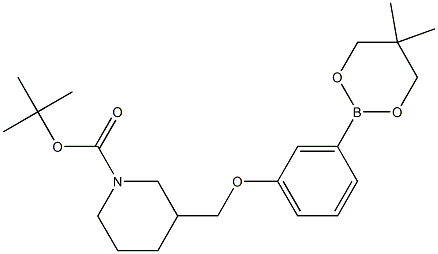 TERT-BUTYL 3-[[3-(5,5-DIMETHYL-1,3,2-DIOXABORINAN-2-YL)PHENOXY]METHYL]PIPERIDINE-1-CARBOXYLATE 结构式