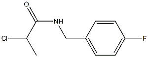 2-CHLORO-N-(4-FLUOROBENZYL)PROPANAMIDE 结构式