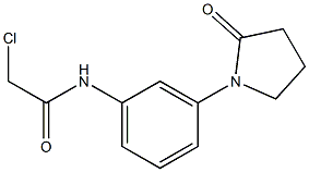 2-CHLORO-N-[3-(2-OXOPYRROLIDIN-1-YL)PHENYL]ACETAMIDE 结构式