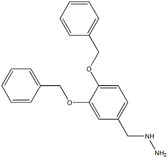 (3,4-DIBENZYLOXY-BENZYL)-HYDRAZINE 结构式