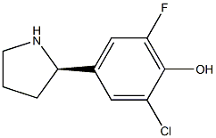 4-((2R)Pyrrolidin-2-yl)-2-chloro-6-fluorophenol 结构式
