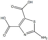 2-AMINOTHIAZOLE-4,5-DICARBOXYLIC ACID 结构式