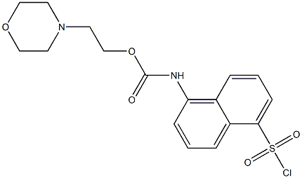 (5-CHLOROSULFONYL-NAPHTHALEN-1-YL)-CARBAMIC ACID 2-MORPHOLIN-4-YL-ETHYL ESTER 结构式