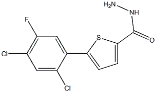 5-(2,4-DICHLORO-5-FLUOROPHENYL)THIOPHENE-2-CARBOHYDRAZIDE 结构式