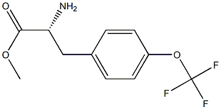 METHYL (2R)-2-AMINO-3-[4-(TRIFLUOROMETHOXY)PHENYL]PROPANOATE 结构式