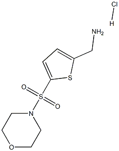 [5-(MORPHOLIN-4-YLSULFONYL)THIEN-2-YL]METHYLAMINE HYDROCHLORIDE 结构式