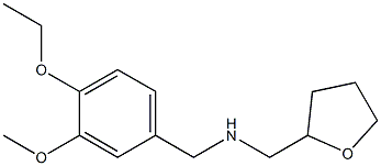N-(4-ETHOXY-3-METHOXYBENZYL)-N-(TETRAHYDROFURAN-2-YLMETHYL)AMINE 结构式