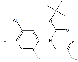 (S)-(BOC)-2,5-DICHLORO-4-HYDROXYPHENYLGLYCINE 结构式