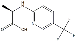 (2R)-2-[[5-(TRIFLUOROMETHYL)PYRIDIN-2-YL]AMINO]PROPANOIC ACID 结构式