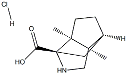 (1S,3S,6R,7S)-6,7-DIMETHYL-4-AZATRICYCLO[4.3.0.0(3,7)]NONANE-3-CARBOXYLIC ACID HYDROCHLORIDE 结构式