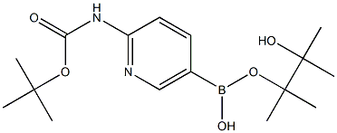 2-TERT-BUTYLOXYCARBONYLAMINOPYRIDINE-5-BORONIC ACID PINACOL ESTER 结构式