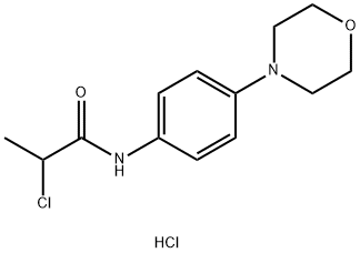 2-CHLORO-N-(4-MORPHOLIN-4-YLPHENYL)PROPANAMIDE HYDROCHLORIDE 结构式