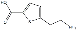 5-(2-AMINOETHYL)THIOPHENE-2-CARBOXYLIC ACID 结构式