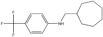 CYCLOHEPTYLMETHYL-(4-TRIFLUOROMETHYL-PHENYL)-AMINE 结构式