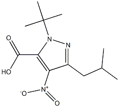 1-(TERT-BUTYL)-3-(2-METHYLPROPYL)-4-NITRO-1H-PYRAZOLE-5-CARBOXYLIC ACID 结构式