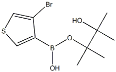 3-BROMOTHIOPHENE-4-BORONIC ACID PINACOL ESTER 结构式