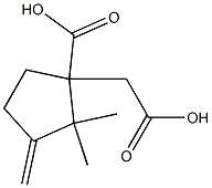 1-(CARBOXYMETHYL)-2,2-DIMETHYL-3-METHYLENECYCLOPENTANECARBOXYLIC ACID 结构式