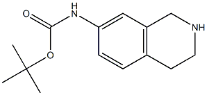 TERT-BUTYL 1,2,3,4-TETRAHYDROISOQUINOLIN-7-YLCARBAMATE 结构式