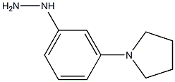 (3-PYRROLIDIN-1-YL-PHENYL)-HYDRAZINE 结构式