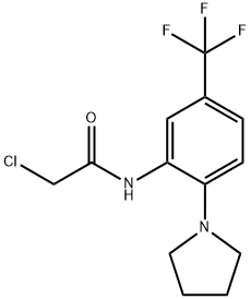2-CHLORO-N-[2-PYRROLIDIN-1-YL-5-(TRIFLUOROMETHYL)PHENYL]ACETAMIDE 结构式