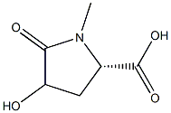 4-Hydroxy-1-methyl-5-oxoproline 结构式