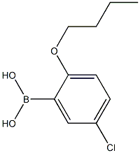 2-BUTOXY-5-CHLOROPHENYLBORONIC ACID 结构式