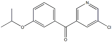 3-CHLORO-5-(3-ISOPROPOXYBENZOYL)PYRIDINE 结构式