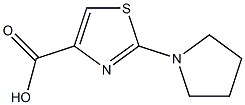 2-PYRROLIDIN-1-YL-THIAZOLE-4-CARBOXYLIC ACID 结构式