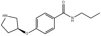 N-丙基-4-(吡咯啉-3-基氧)苯甲酰胺 结构式