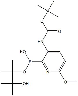 3-TERT-BUTYLOXYCARBONYLAMINO-6-METHOXYPYRIDINE-2-BORONIC ACID PINACOL ESTER 结构式